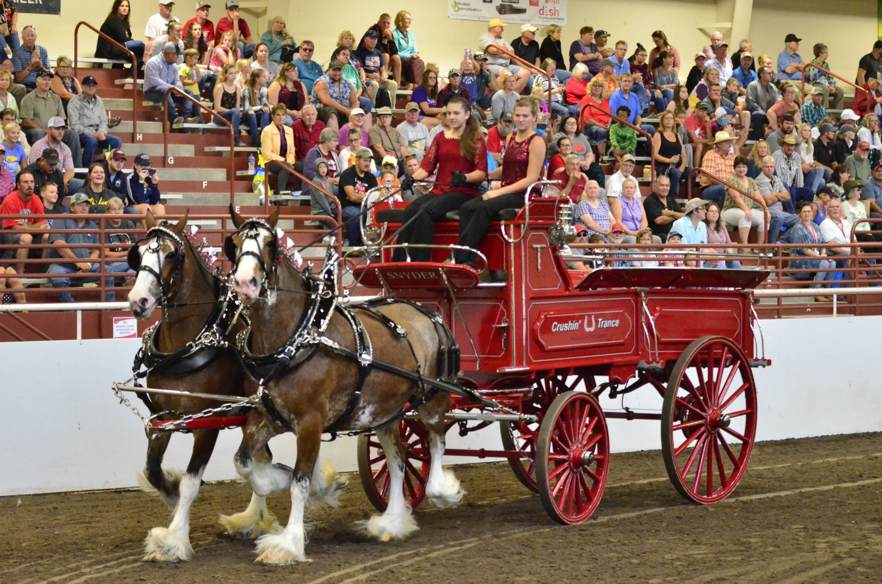8-25-19 Draft Horse Hitch Final (54).JPG